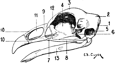 Fig. 65