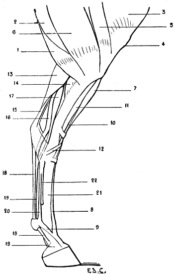 Fig. 88