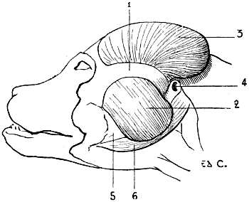 Fig. 89