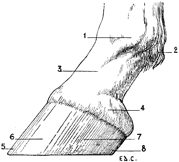 Fig. 98