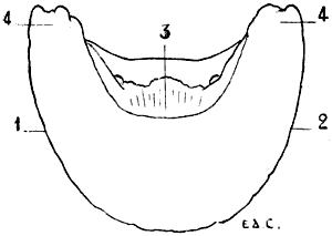 Fig. 101