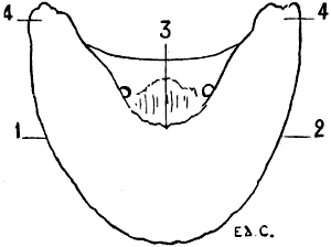 Fig. 102