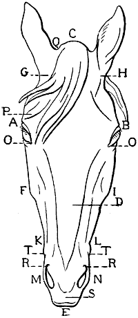 Fig. 110