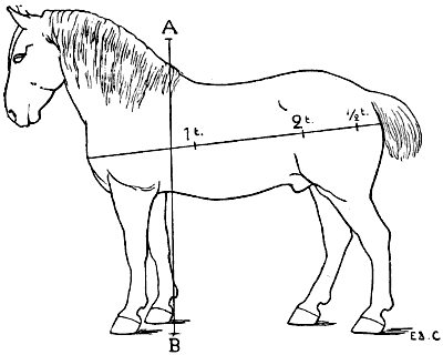 Fig. 113