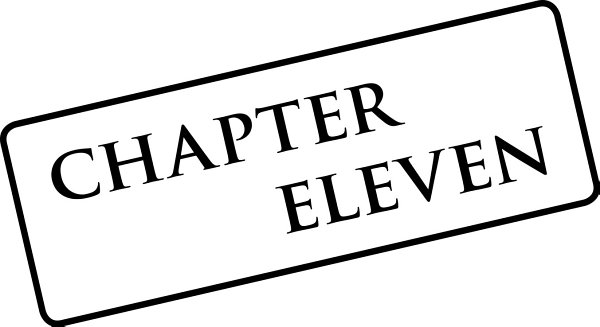 chapter eleven