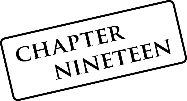 chapter nineteen