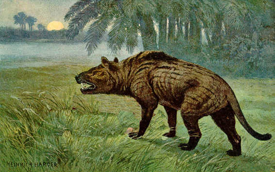 http://upload.wikimedia.org/wikipedia/commons/2/2a/Hyaenodon_Heinrich_Harder.jpeg