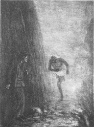 A_Tale_of_the_Ragged_Mtns_a_dusky_visaged_and_half_naked_man_rushed_passed_me_with_a_shriek_Illustration_by_F_S_Coburn_1903.tif