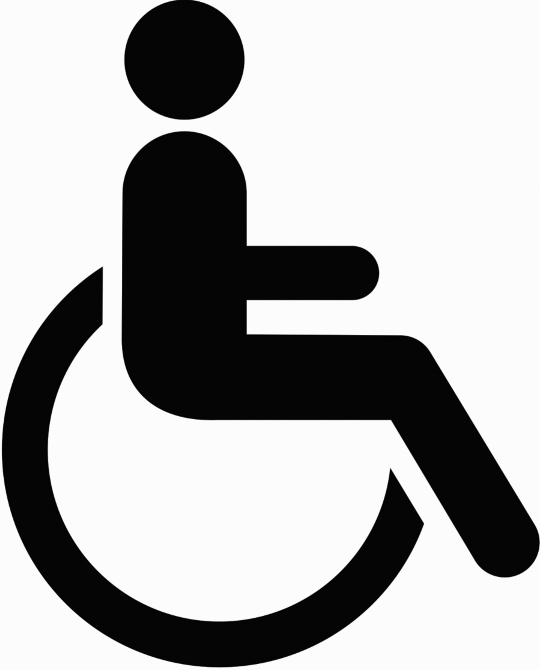 The figure depicting the universal symbol of accessibility identifies features of the environment.