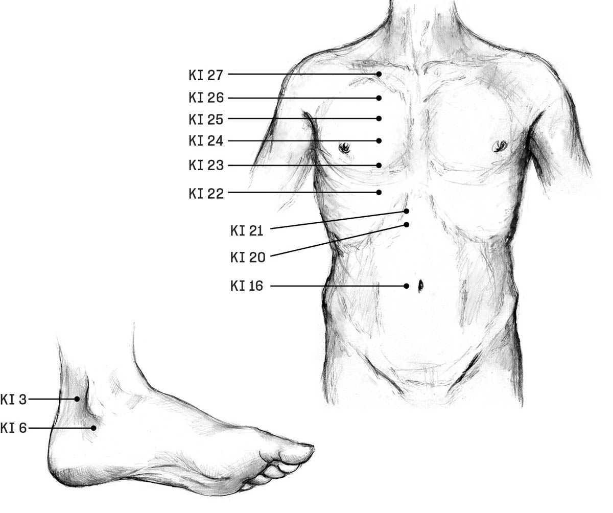 An illustration of the acupoints on the kidney meridian on the torso and foot.