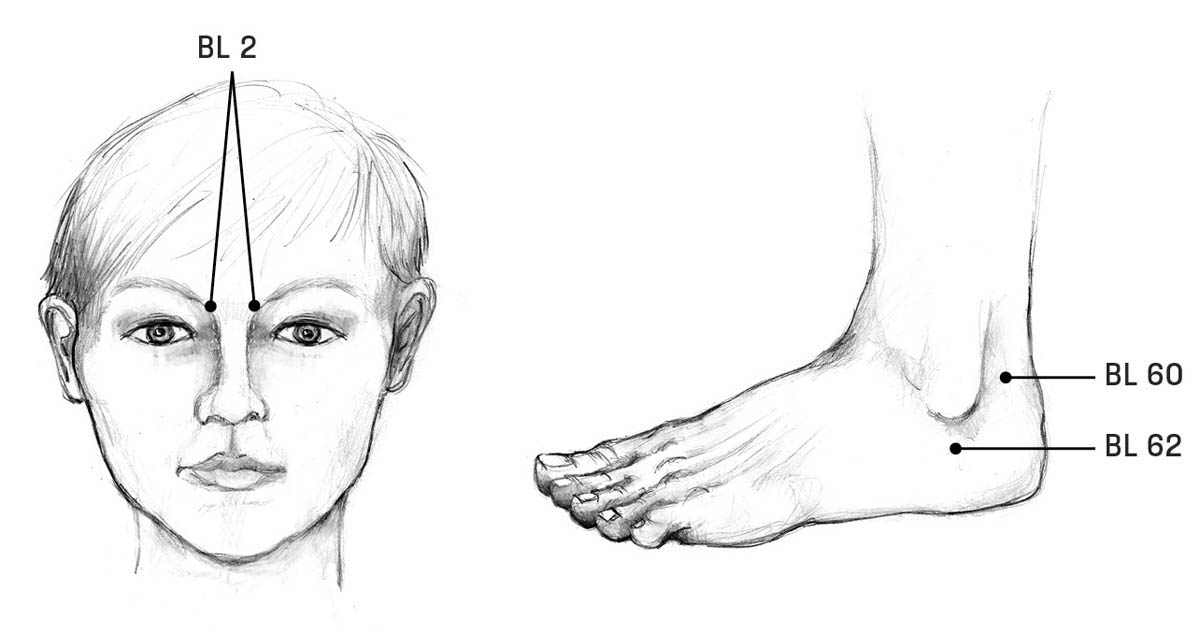 An illustration of the acupoints on the bladder meridian on the face and foot.