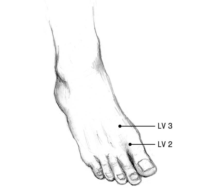 An illustration of the acupoints on the liver meridian on the foot.