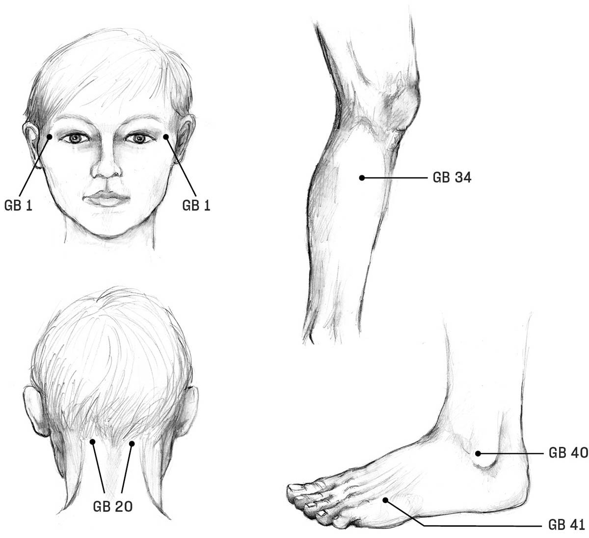 An illustration of the acupoints on the gallbladder meridian on the head, leg, and foot.