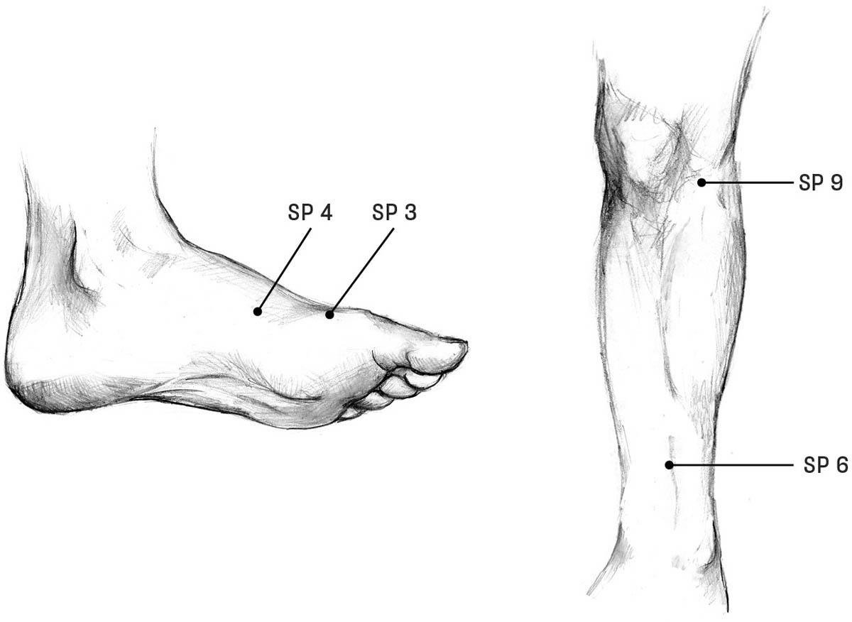 An illustration of the acupoints on the spleen meridian on the foot and leg.