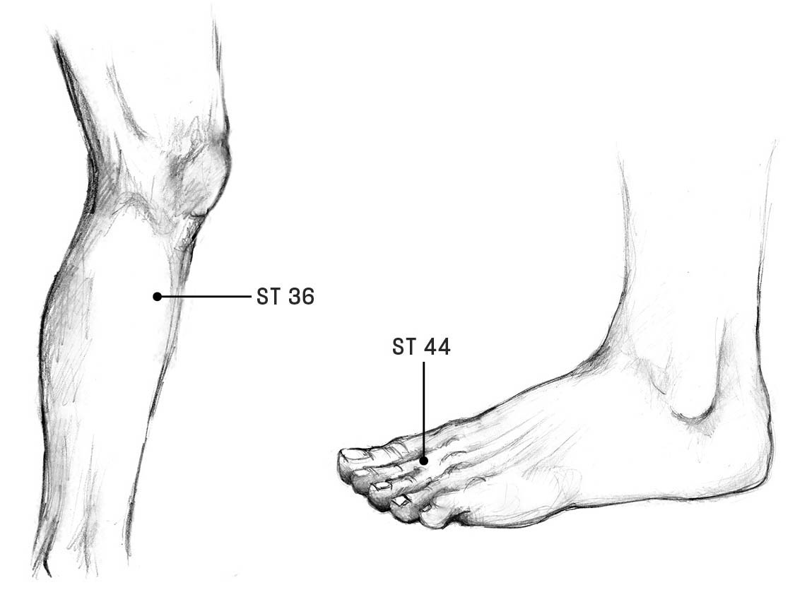 An illustration of the acupoints on the stomach meridian on the leg and foot.