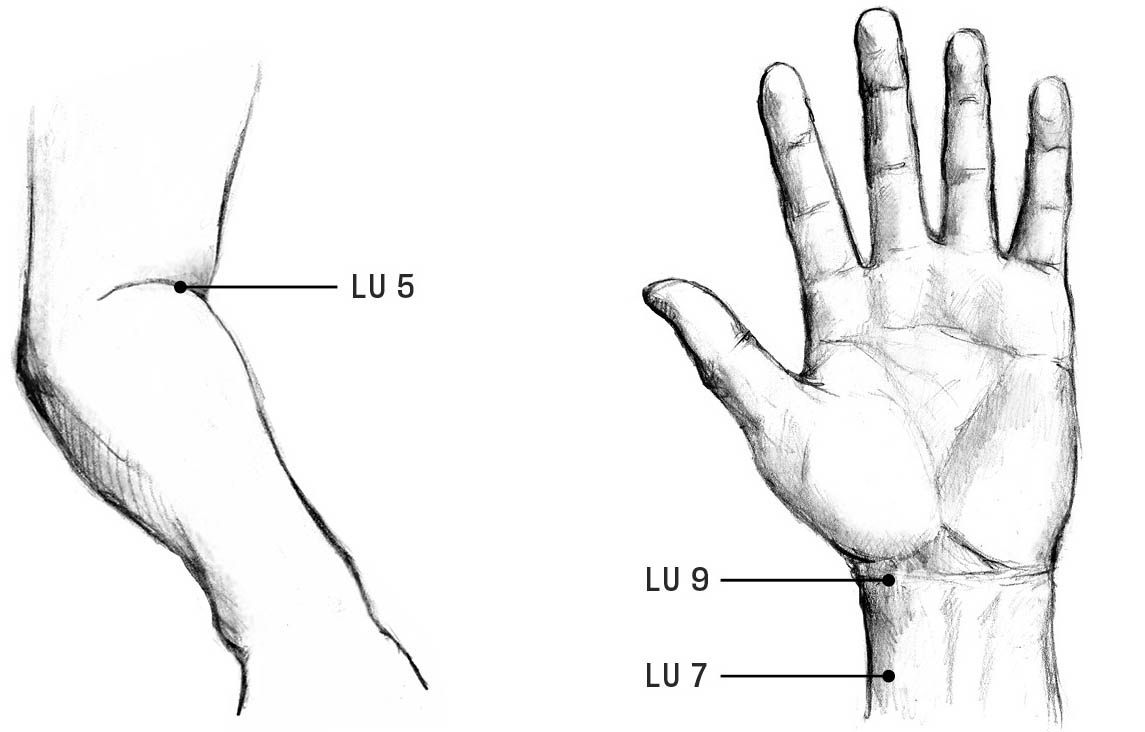 An illustration of the acupoints on the lung meridian on the arm and wrist.