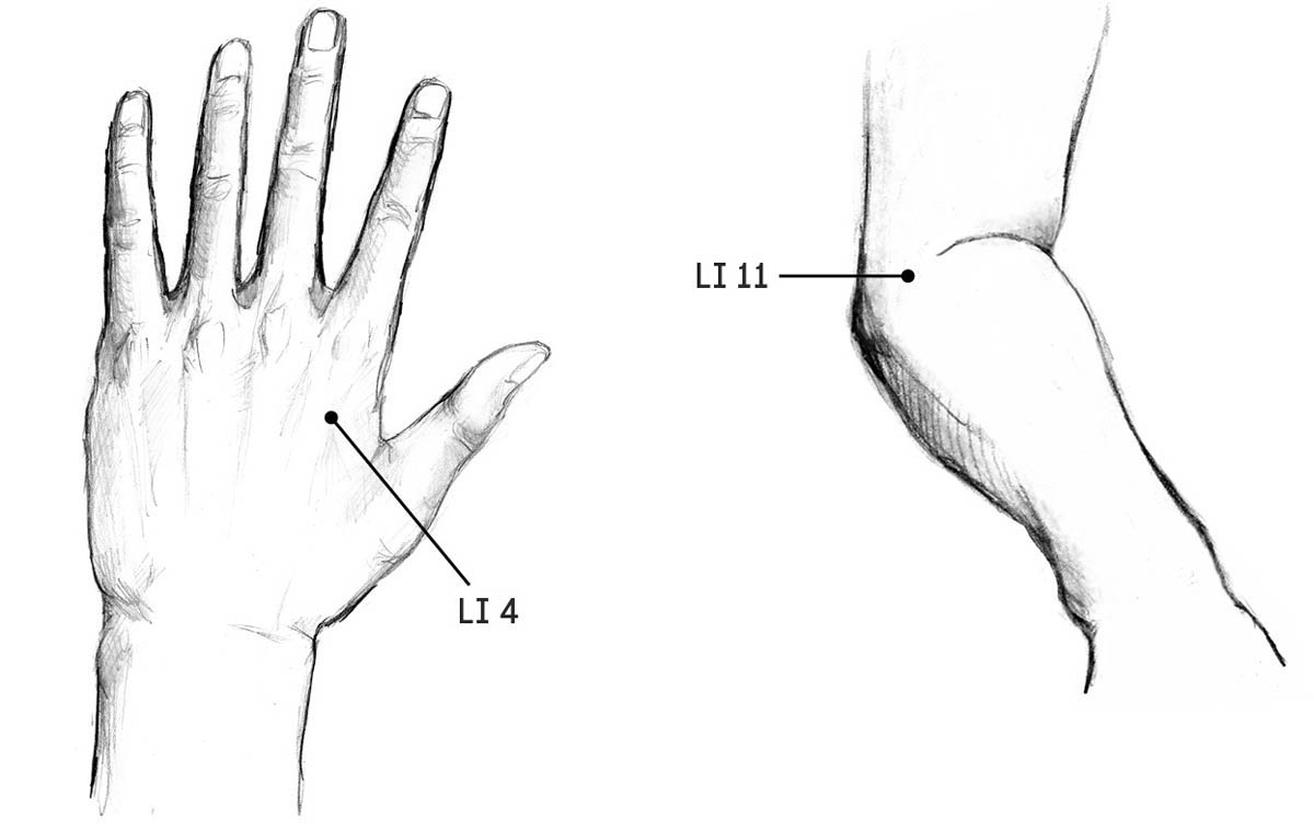 An illustration of the acupoints on the large intestine meridian on the hand and arm.