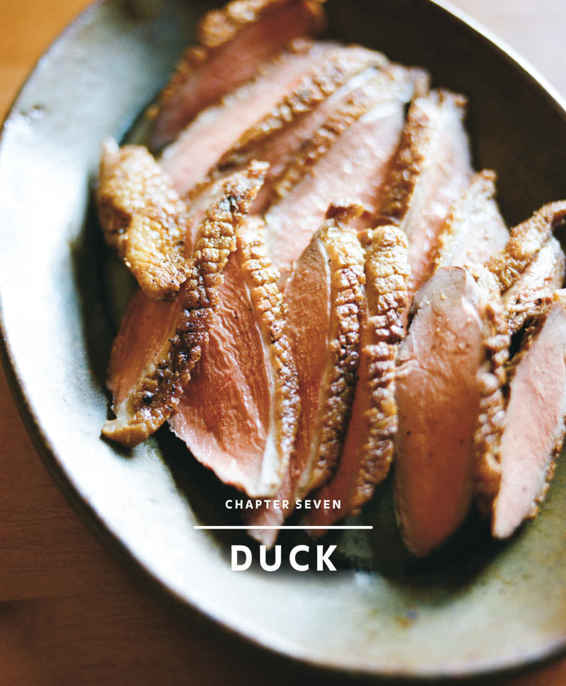 image of duck