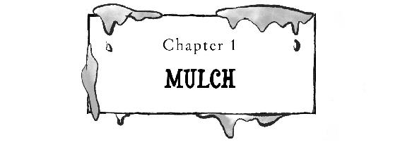 Chapter 1: MULCH