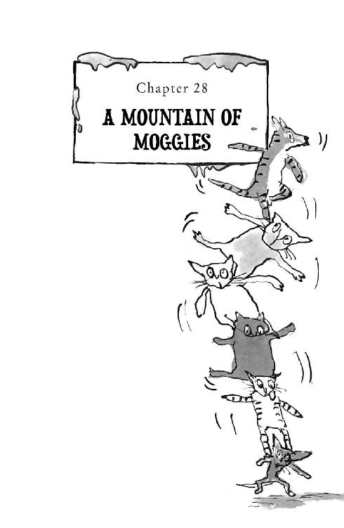 Chapter 28: A MOUNTAIN OF MOGGIES