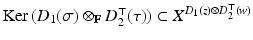 
$$\mathrm{Ker}\,(D_{1}(\sigma ) \otimes _{\mathbb{F}}D_{2}^{\top }(\tau )) \subset X^{D_{1}(z)\otimes D_{2}^{\top }(w) }$$
