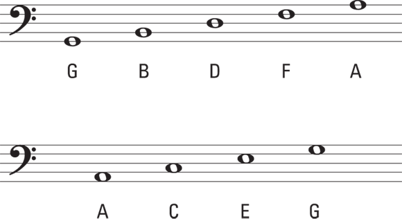 Schematic illustration of the names for notes on the bass clef lines and spaces.