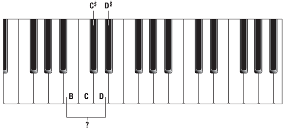 Schematic illustration of the black and white keys in the piano.