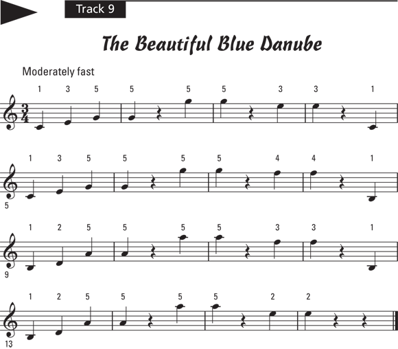 Schematic illustration of the play notes for Track 9.