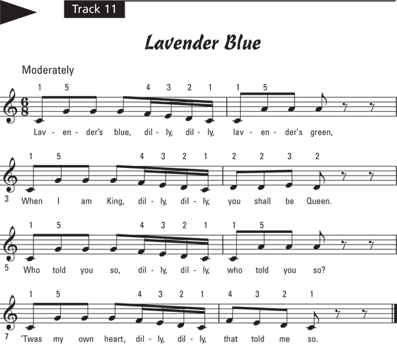 Schematic illustration of the play notes for Track 11.