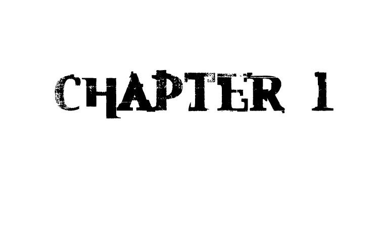 chapter1