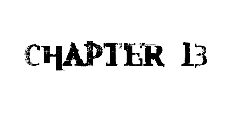 chapter13