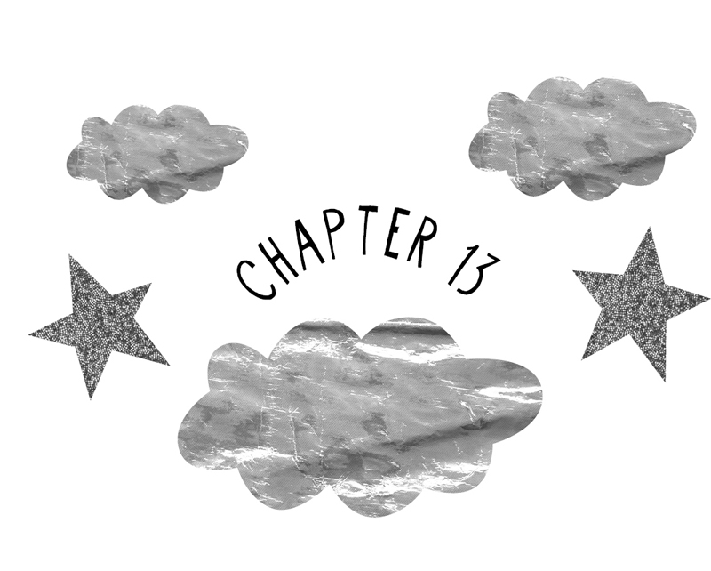 Chapter 13