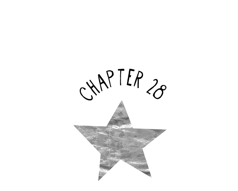 Chapter 28