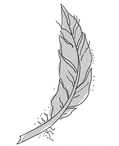 feather