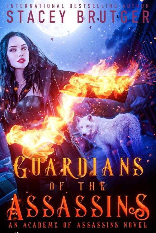 Guardians of the Assassins - The last book in the Academy of Assassins Series.