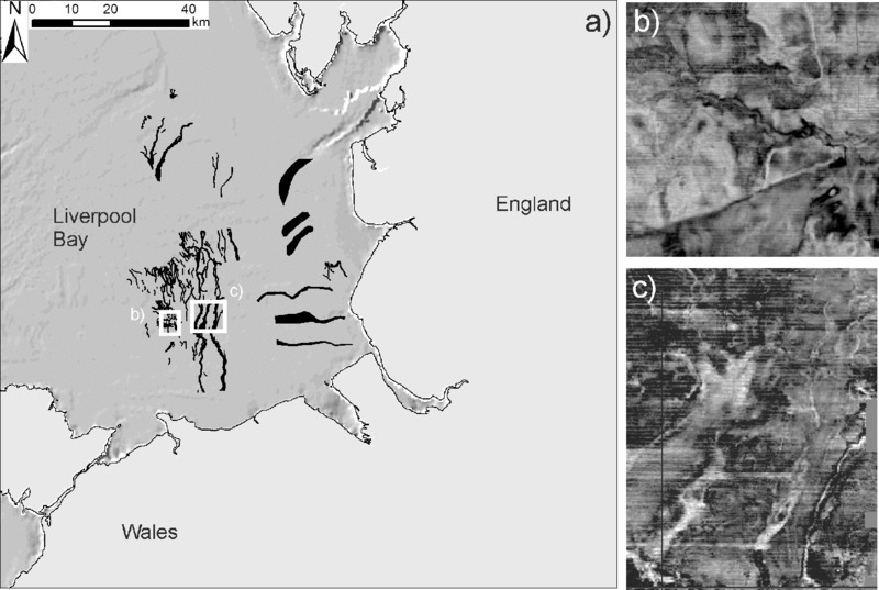 Images show A: distribution of offshore infilled paleochannels obtained from 3D seismic data with Liverpool bay at northeast, wales at south, and England at northwest; b and c: horizontal 2D timeslices through 3D data volume.