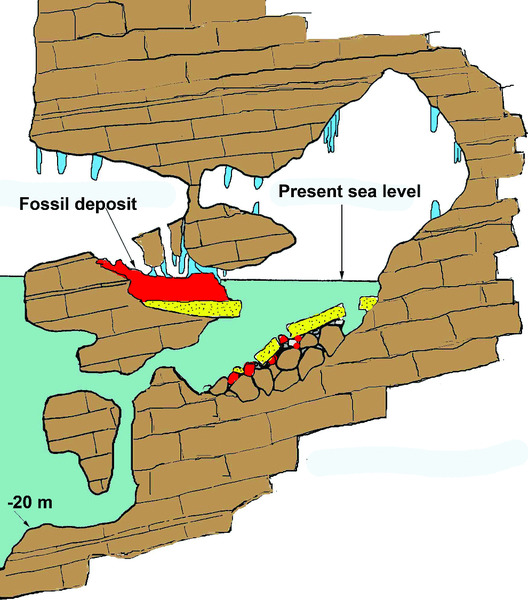 Diagram shows flooded caves in Sardinia and it is inaccessible due to sheer cliffs above and below cave, which shows fossil deposit above sea level that goes below -20m sea level.