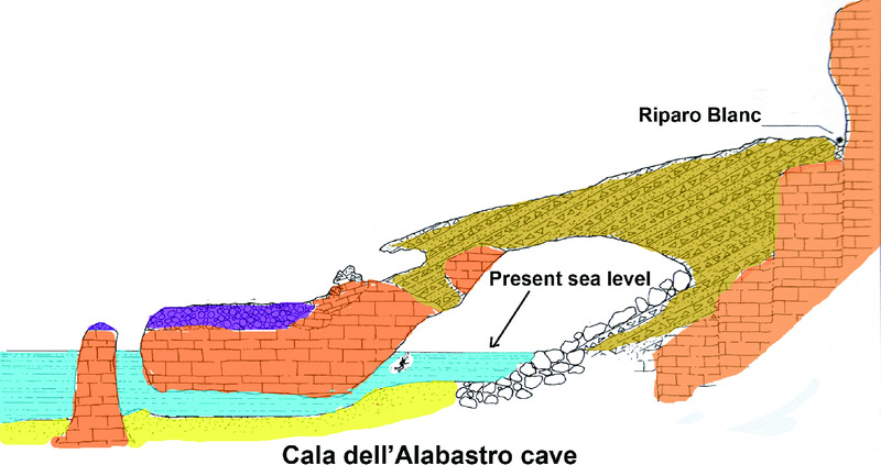 Diagram shows Cala dell’ Alabastro cave and it has Riparo Blanc above present sea level which also contains shell mounds of limpets.