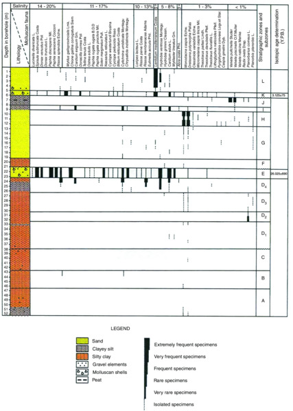 EChart shows stratigraphic column with salinity, depth in borehole, lithology, stratigraphic zones and subzones, isotopic age and determination, et cetera.