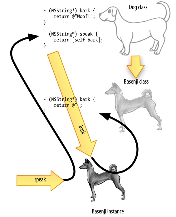 Class inheritance, overriding, self, and polymorphism