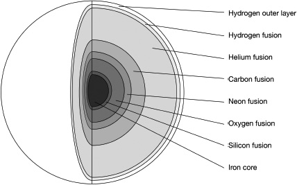 Start of image description, A diagram illustrates the onion-like structure of a supergiant star nearing the end of its life., end of image description