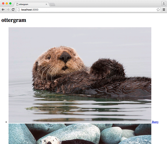 Viewing Ottergram in the browser