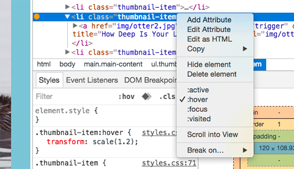 Toggling a pseudo-class in the elements panel