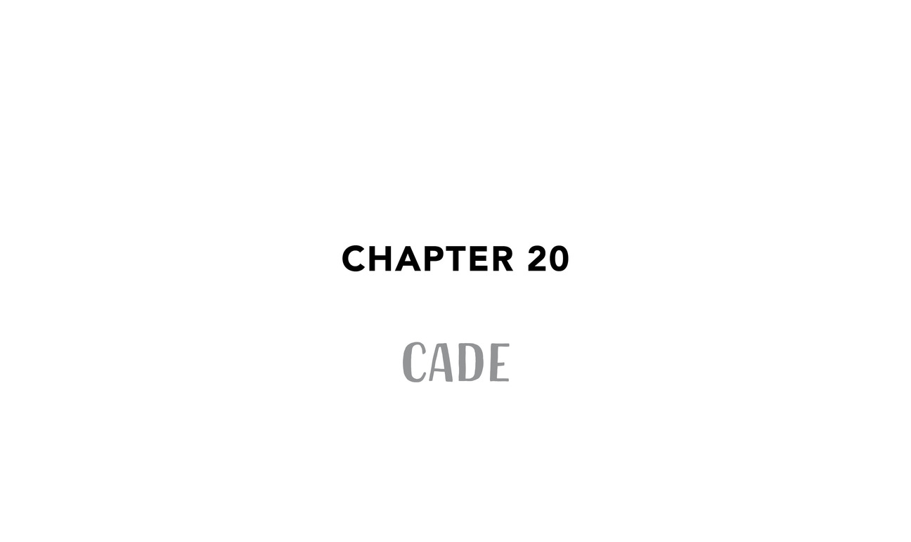 Chapter 20 CADE