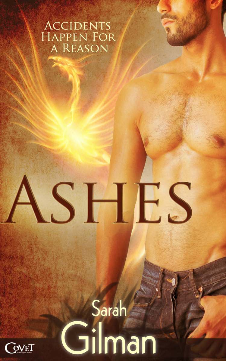 Ashes1600ePub.jpg