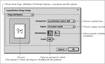 Page Setup dialog box