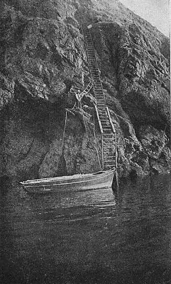 HAVRE GOSSELIN LADDERS