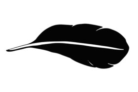 A glyph of a feather