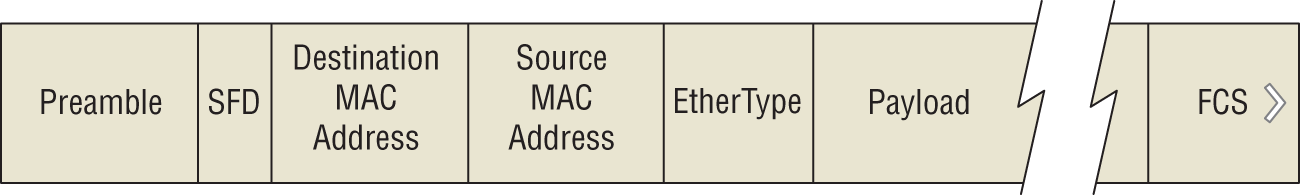 Schematic illustration of Data Link layer frame format