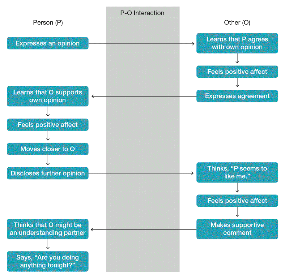 A diagram of the chain of an initial dyadic interaction between person and other. Person expresses an opinion, and Other learns that Person agrees with own opinion. Other feels positive effect and expresses agreement. Person learns that Other supports own opinion, feels positive effect, moves closer to Other, and discloses further opinion. Other thinks, Person seems to like me. Other feels positive affect and makes supportive comment. Person thinks that Other might be an understanding partner and says, Are you doing anything tonight?